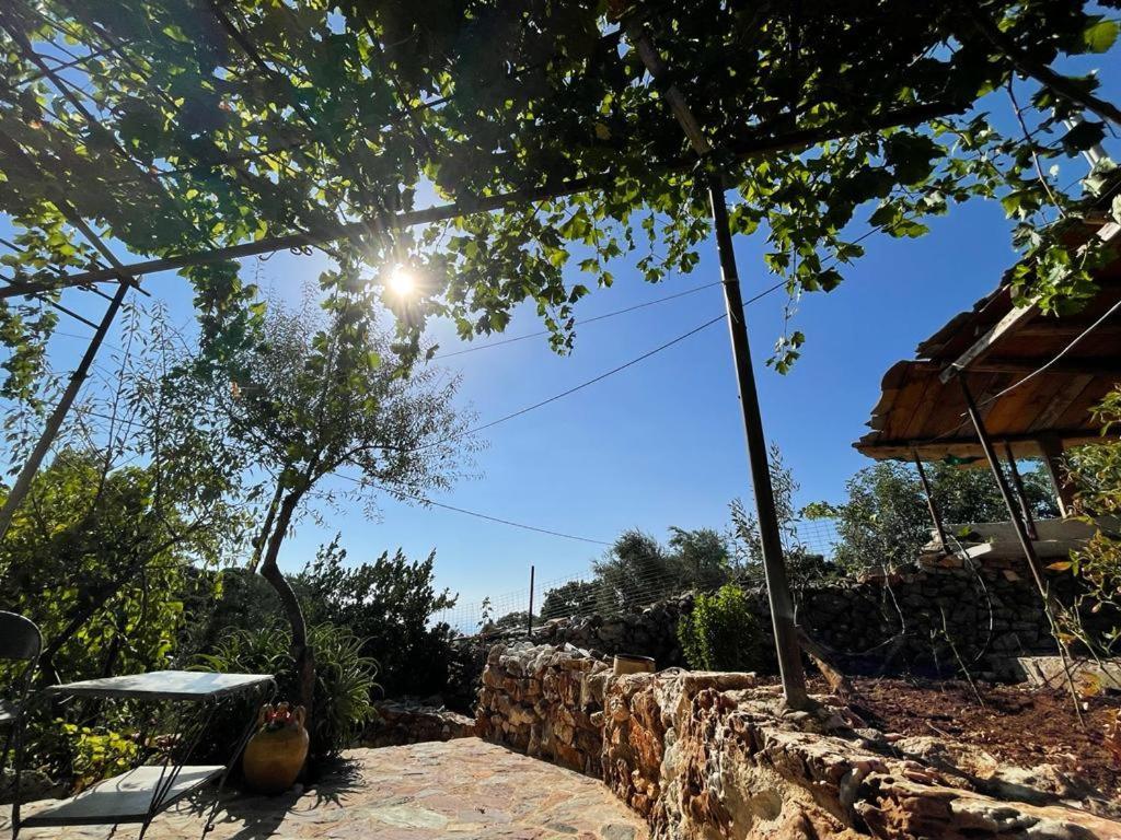 Find Your Peace In A Traditional Country House!! Láyia المظهر الخارجي الصورة