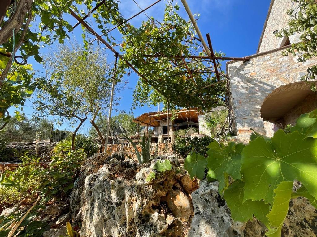 Find Your Peace In A Traditional Country House!! Láyia المظهر الخارجي الصورة