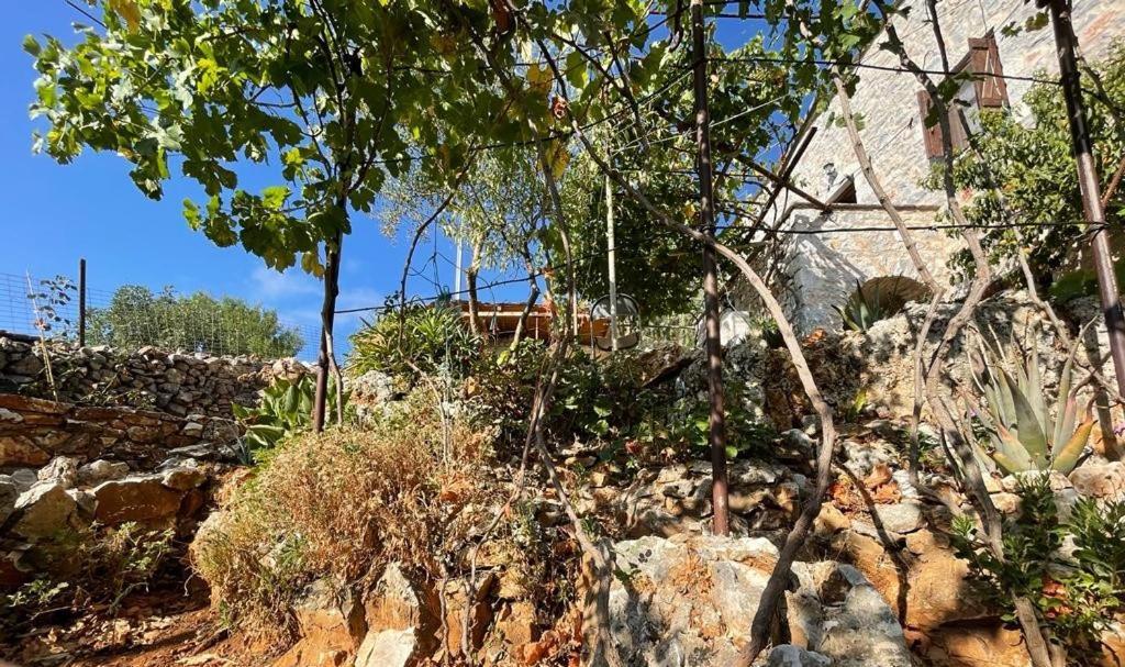 Find Your Peace In A Traditional Country House!! Láyia المظهر الخارجي الصورة