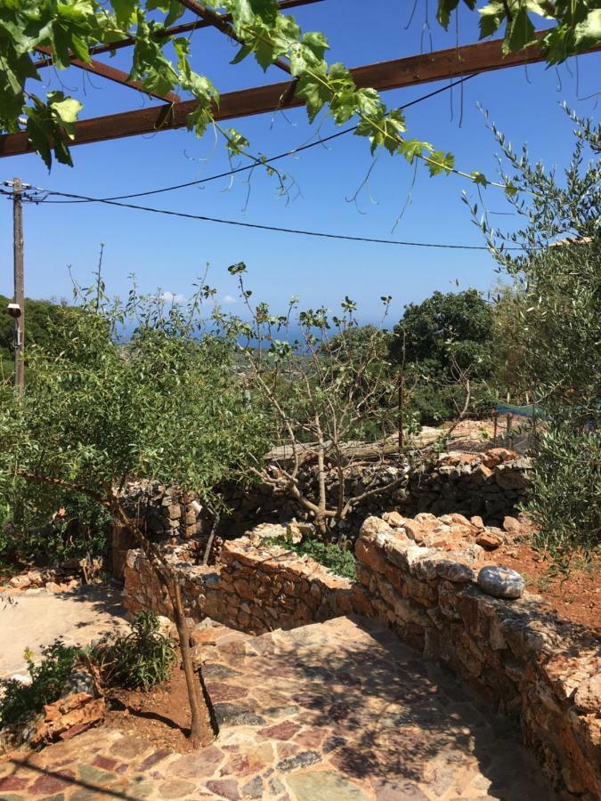 Find Your Peace In A Traditional Country House!! Láyia المظهر الخارجي الصورة